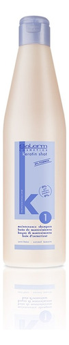 Shampoo Salerm Manutenção Keratin Shot 500ml V:06/2026