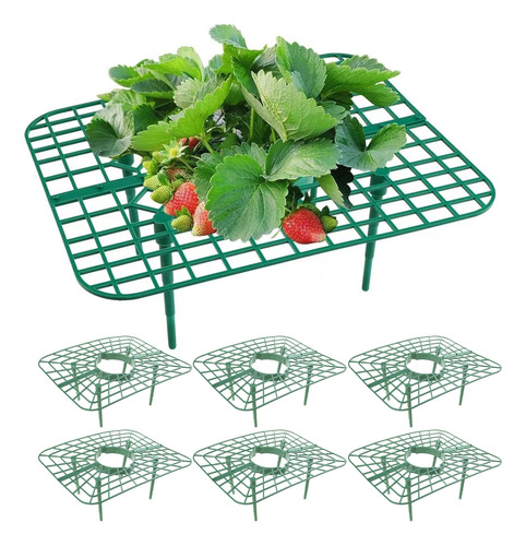 Soporte Para Plantas De Fresa (1 Unidad)