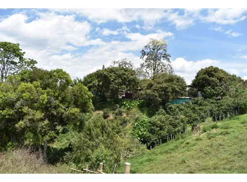 Se Vende Lote En Quimbaya Quindío