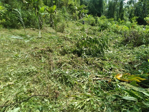 Imagem 14 de 14 de Terreno Em Miracatu C/ 30 Mil M