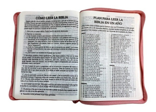 Biblia Reina Valera 1960 Letra Gigante Cierre Pjr Conc. Rosa