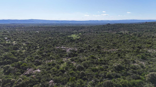 Campo En Venta En Nono, Los Algarrobos
