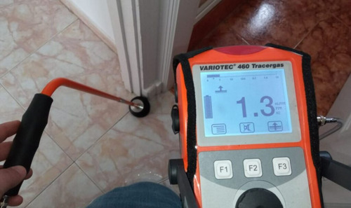 Detección Y/o Reparación De Fugas Agua Y Gas (rm) Gasfíter