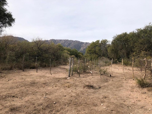 Imagen 9 de 12 de Terreno Calle La Rubí