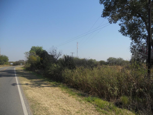 Imagen 7 de 14 de Campo En Venta De 53000m2 Ubicado En La Paz Cordoba. A 15 Kms Merlo (s.l)