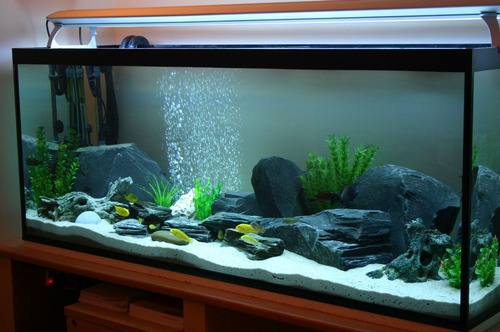 Imagen 10 de 10 de Bomba De Aire Para Acuario Fluval Q2 + Delivery