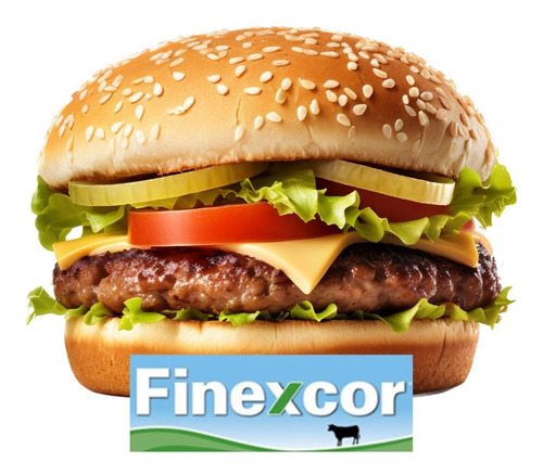 60 Hamburguesas Finexcor De 80gr Con Pan Artesanal