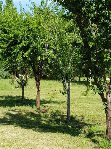 Venta Quinta Con Estanque Propio