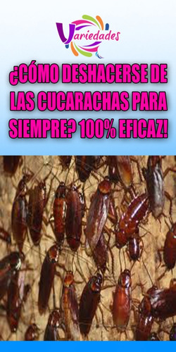 Veneno Mata Cucarachas 100 Grs Autorizado M.s.p