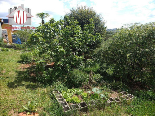 Imagem 21 de 23 de Linda Chácara Com Escritura, 1 Dormitório, Quarto De Ferramentas, Pomar, Canil, Horta, À Venda, 2000 M² Por R$ 270.000 - Zona Rural - Pinhalzinho/sp - Ch0826