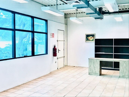 Imagen 12 de 23 de Vendo Local Comercial 901m2 Prados Del Este 1558