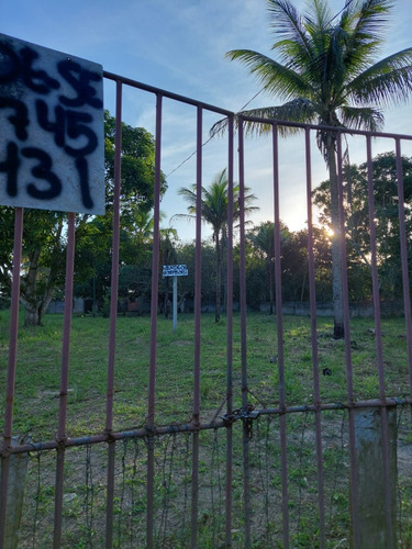 Sítio Em Aramari Próximo A Alagoinhas