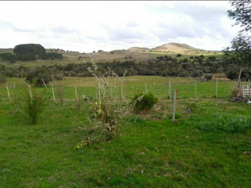 Quinta En Venta En Lavalleja