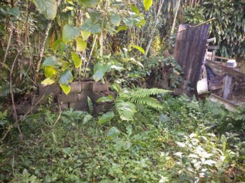 Imagem 6 de 14 de Casa No Jardim São Fernando - Itanhaém 5521 | Npc