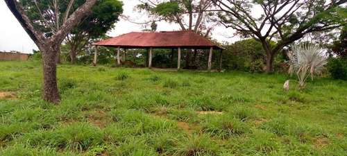 Imagen 2 de 4 de Vendo Finca Ubicada En Lagunita Glf-004