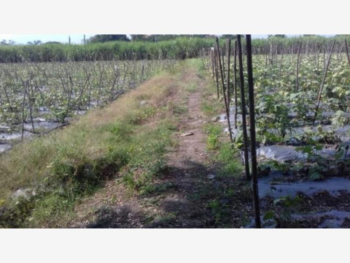 Imagen 6 de 10 de Venta Terreno Cuautlixco