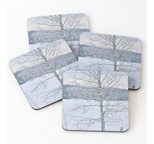 Set Posavasos Abedul Junto Al Lago. Parkkuu Invierno 2023 Co