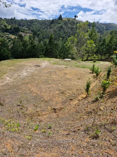 Lote En Venta Con Bosque Y Dos Explanaciones