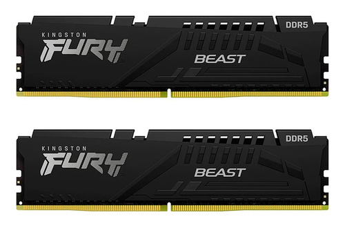 Kit De Memorias Dimm Kingston Fury Beast Ddr5 Pc5-41600