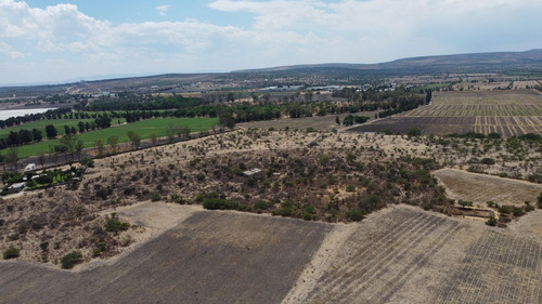 Terreno A 3 Km Viñedo San Lucas Y Coyote Park: Ideal Para Tu Próximo Proyecto
