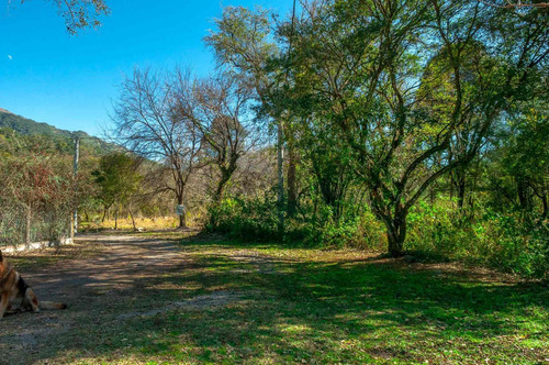 Imagen 6 de 12 de Terreno + Venta + Castellanos + 1.693 M2