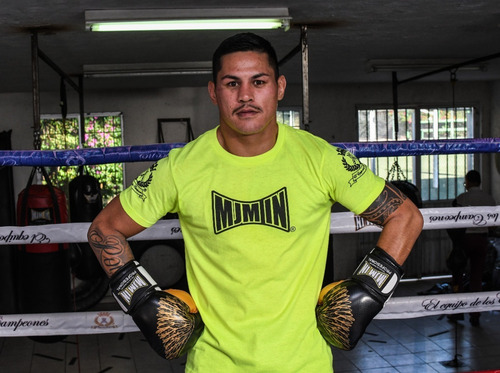 Imagen 8 de 10 de Guantes De Box Mma Kick Boxing Muay Thai Oz Mjm In Equiped