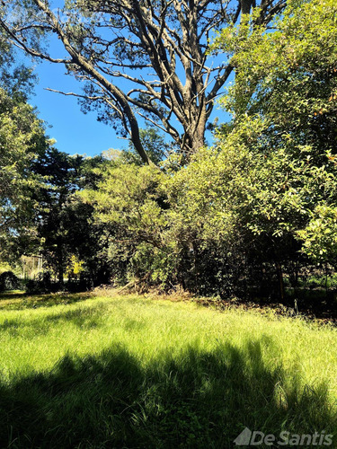 Terreno En Bosque Peralta Ramos