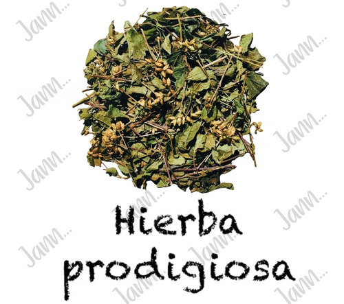 Hierba Prodigiosa Planta Medicinal 500g.
