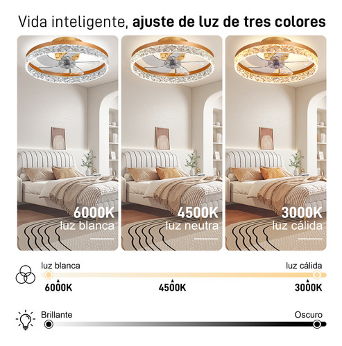 Ventilador de Techo Merion MER+FSD+01 con Palas de Plástico Estructura
