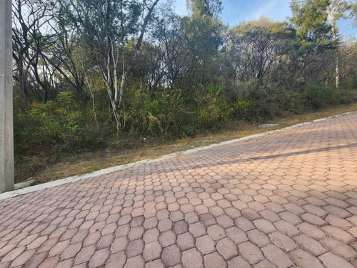 Venta Lote Gladiola 36 En Nueva Zona Del Fraccionamiento Muy Cerca De La Entrada Con Vistas Panorámicas, Poryecto Incluído En Rancho San Diego Ixtapan De La Sal Edomex
