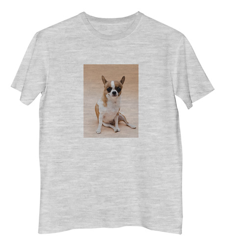 Remera Hombre Perros 5 Golden Retriever Costado Pasto