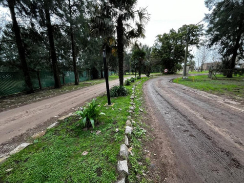 Venta En Bloque De Terrenos -2940mts2 Totales- General Belgrano