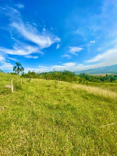 Imagem 12 de 13 de W40- Oportunidade De Ter Seu Terreno Agende Já Sua Visita
