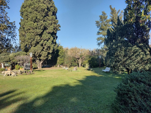 Imagen 3 de 21 de Terreno/quinta De 2000m2 En Venta - General Pacheco - Tigre
