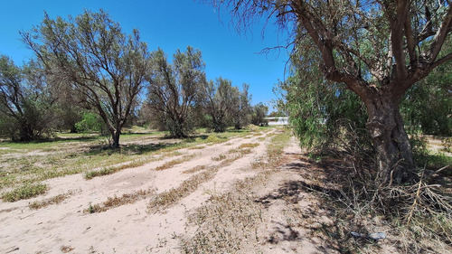 Finca-terreno En Venta En Guaymallén Pozo Surgente De Agua Apta Para Consumo