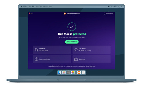 Antivirus Avast Essential Business 50 Nodos - 1 Año