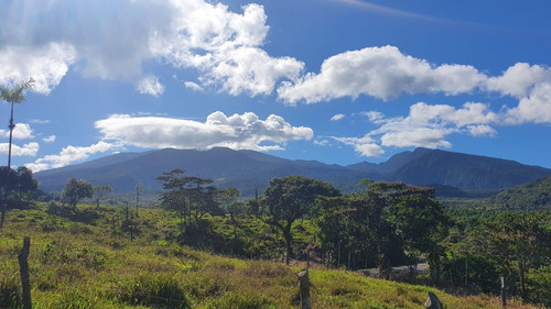 Imagen 8 de 9 de Finca De 31 Hectáreas