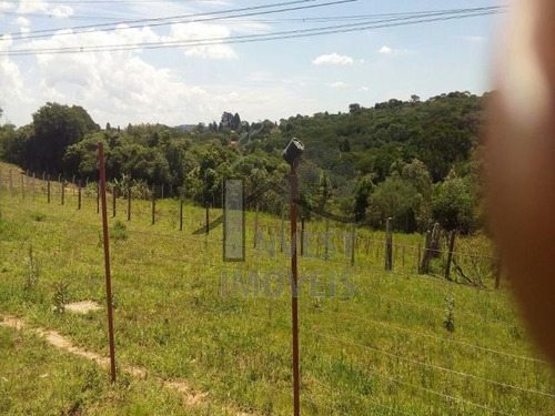 Imagem 7 de 8 de Cód 2499 - Ótimos Terrenos Para Formar Chácaras - 2499