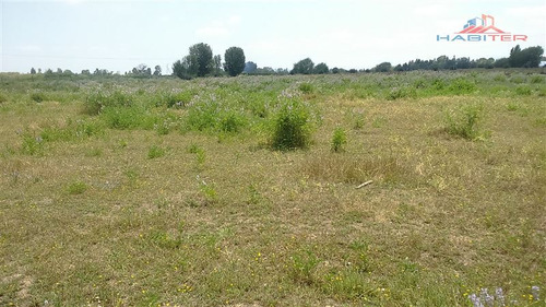 Imagen 15 de 30 de Agrícola En Venta En Linares