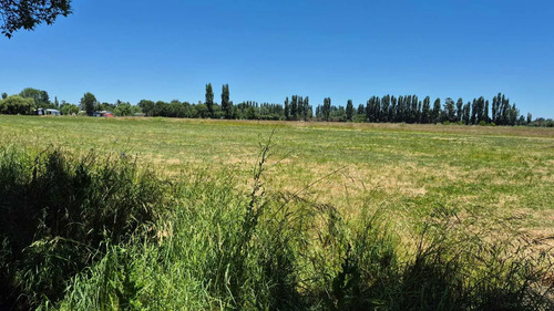 Se Vende Parcelas, 5.000 Mt2, Camino El Peral (132185)