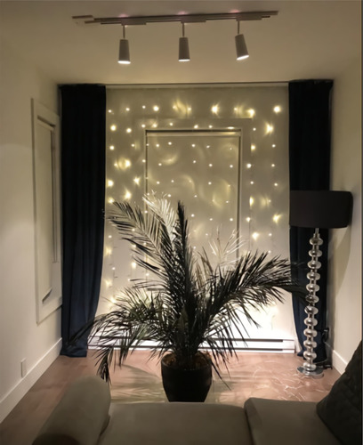Cascada De Luces Led Con 300 Leds Efecto Chorro Y Malla