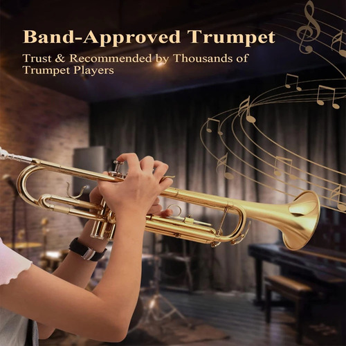 Trompete Slade Em Sib Dourado Laqueado Com Estojo De Luxo