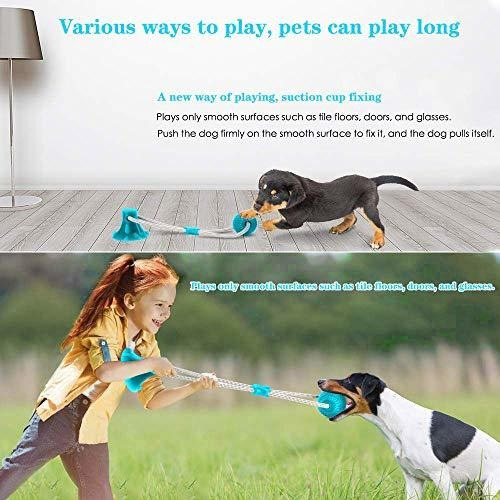 Wxhny Dog Rrtoys Suministros Para Mascotas Juguetes Interact