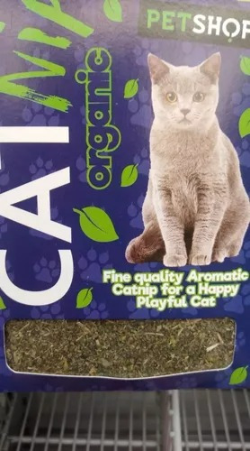 Cat Nip Organico Gatos Mascota 