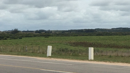 Orden De Ventas!!! Chacra: Zona José Ignacio Oportunidad En Zona Turística- Ref: 1593