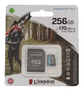 Memoria Kingston Micro Sdxc Canvas Go Plus 256gb Sdcg3/256gb