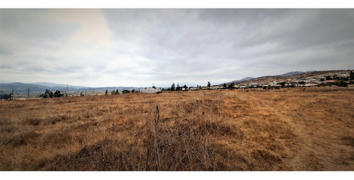 Sitio Plano, Agrícola, De 5.000 M2., En Tabolango, Limache.