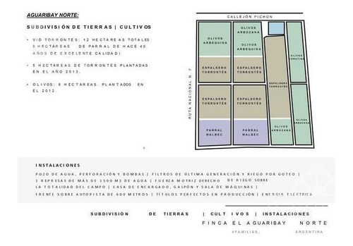 Imagen 3 de 30 de Campo - Finca Productiva De Primer Nivel, Mendoza, 80 Hectareas