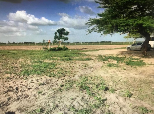 Imagen 4 de 9 de Se Vende Finca En Curiepe, Maturin Ve02-1352cem-scor