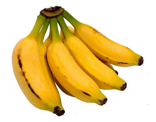 Plátano Malayo (musa Acuminata Colla)